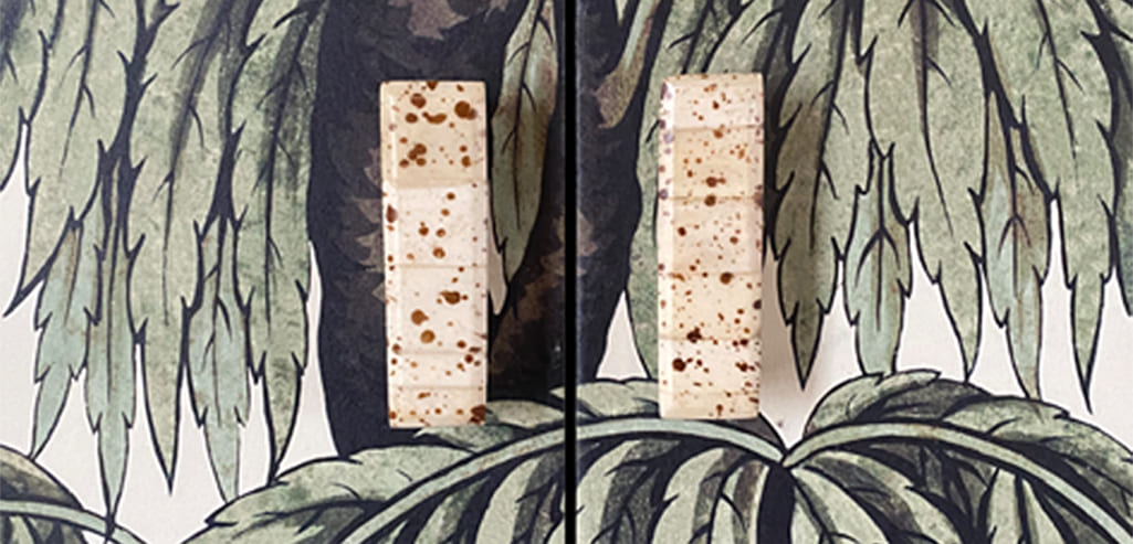 PAGINA SERVICIOS - CABECERA 2